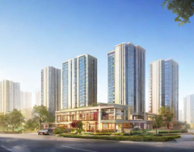 中颐集团的业务发展和市场表现如何？