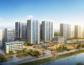 盛本科技近年市场表现与财务业绩如何？