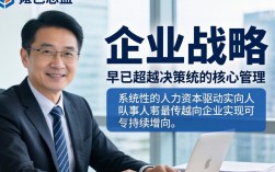 人力资源总监如何高效搭建公司人力资源体系？搭建体系的关键步骤有哪些