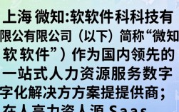 上海微知软件 怎么样