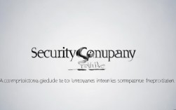 保安公司简介如何撰写？范文解析与写作技巧揭秘！