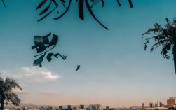 山西技师申报有哪些工种？2024年最新目录及条件一览