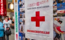 红十字会招聘信息发布，具体职位要求与待遇如何？