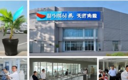 福州万泉塑业有限公司怎么样？产品质量和服务可靠吗？