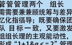 主管如何高效管理两位组长？团队分工与协作策略怎么定？