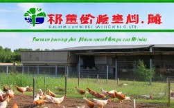 大连韩伟养鸡有限公司的鸡蛋安全吗？