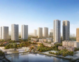 浙江中浩公司究竟表现如何？