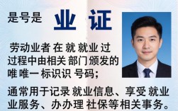 就业证号怎么查？个人就业证查询网上入口