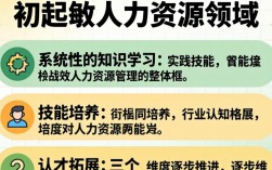 初期如何接触人力资源？零基础小白该从哪学起？HR入门自学指南