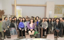 基层税务机关执法权有哪些？具体权限详解及适用范围是什么？