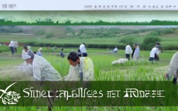 白银种植人员招聘，白银市农作物种植现状如何？招聘网信息可靠吗？