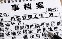 人事档案编号规则是什么？如何规范管理档案编号？