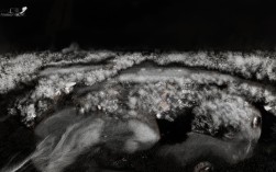 承德曼曼食品有限公司怎么样?产品口碑和实力如何?