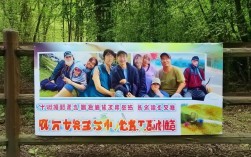 大夫山护林员招聘信息发布，为何如此紧缺生态守护者？