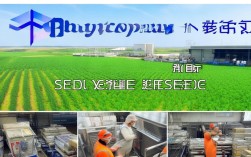 河北兆育种业有限公司怎么样?靠谱吗?种子质量好不好?