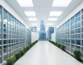 如何申请上海公司的分公司？