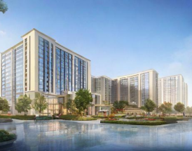 禧福集团近年市场表现与业绩究竟如何？
