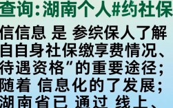湖南个人社保查询官网入口是什么？在线怎么查缴费记录？