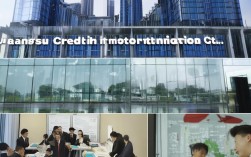 江苏省征信有限公司是干什么的？