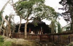 雪迪龙科技股份有限公司怎么样?值得信赖吗?