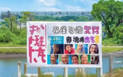 为何招聘条件如此严格？滨江国税服务人员岗位具体要求是什么？