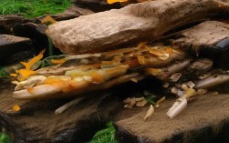 病亡职工具体包括哪些人?界定范围与标准是什么?