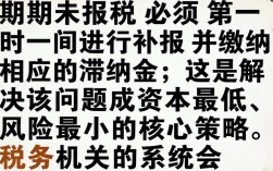 逾期未报税怎么处理，逾期未报税会有什么后果