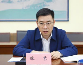 蓝核教育在IT人才培养方面表现如何？