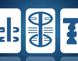 如何查询企业社会信用代码？