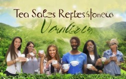 茶叶销售人员招聘，如何撰写吸引人的茶叶销售招聘文案？