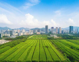 福州大北农，动物疫苗领域的领军者还是追随者？