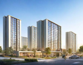 如何评价今安集团的综合实力与市场表现？