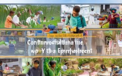 基层就业中基层具体指哪些单位和岗位？