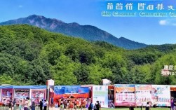 2021年青秀山风景区招聘信息发布，有哪些岗位及要求？