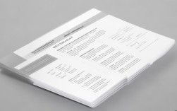 如何制作专业高效的招聘简历表格？技巧与要点大揭秘！