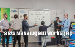 如何通过5S管理有效提升员工工作效率与团队协作？