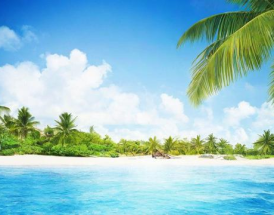 海南企业报税流程指南，如何正确操作？