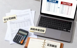 分公司如何纳税，分公司如何纳税申报流程详解，独立核算与非独立核算区别