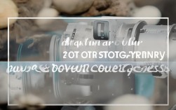 如何撰写突出应聘摄影师经验的求职信或简历标题？