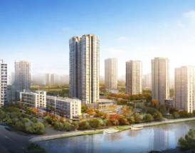 万桥兴业市场表现与业绩分析，投资者应关注哪些核心指标？