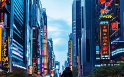 合肥社保代缴公司有哪些?靠谱的代缴机构怎么选?