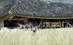 中核岩土工程有限公司资质如何？项目案例有哪些？