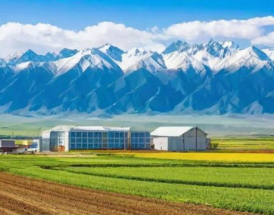 新疆农资公司的市场竞争力与用户评价如何？