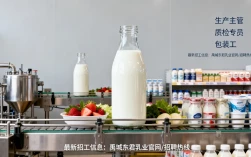 禹城东君乳业招聘有哪些岗位？最新招工信息怎么查