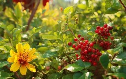 植物成熟之谜，成熟后究竟会发生哪些神奇变化？