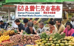 厦门水果批发商招聘采购人员，联系方式及待遇如何？