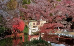 襄阳南车质量与口碑如何？性价比和用户评价怎样？