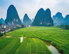 广西桂鑫钢铁集团作为当地重要的钢铁生产企业，自2001年成立以来，已经在钢铁行业中占据了一席之地。然而，随着市场环境和行业竞争的不断变化，人们不禁要问，广西桂鑫钢铁集团在未来几年内将如何适应新的市场挑战？它是否能够继续保持其行业地位，还是会面临被市场淘汰的风险？