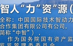 中智人力资源怎么样好不好，中智人力资源是国企吗？