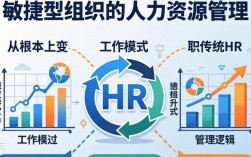 如何打造敏捷型组织HR？关键步骤与落地难点是什么？